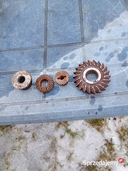 Otwornice Krosno Odrzańskie