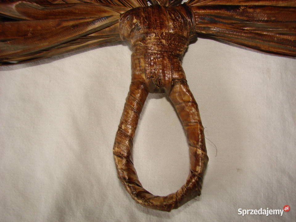 wachlarz z liści palmy Pruszcz Gdański