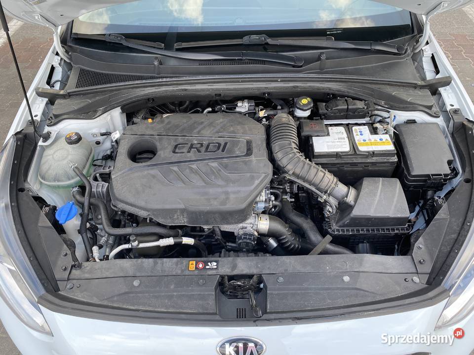 Kia CEED 16 CRDI Polski Salon wymieniony rozrząd manualna Cee'd Osiek Mały sprzedam
