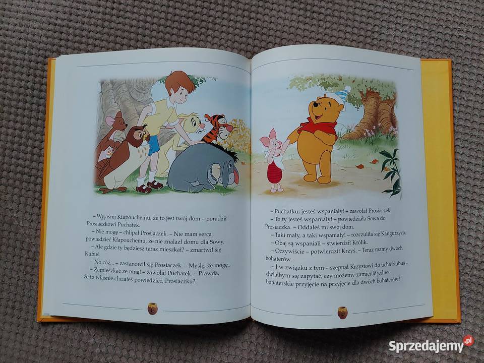 Zwariowana zawierucha Przygody Kubusia Puchatka Kraków