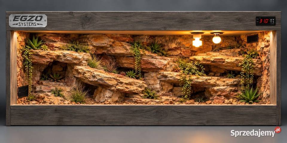 Terrarium specjalistyczne agamy brodatej żółwia Brodnica