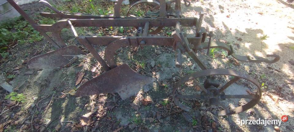 Pług dwuskibowy konny lubelskie
