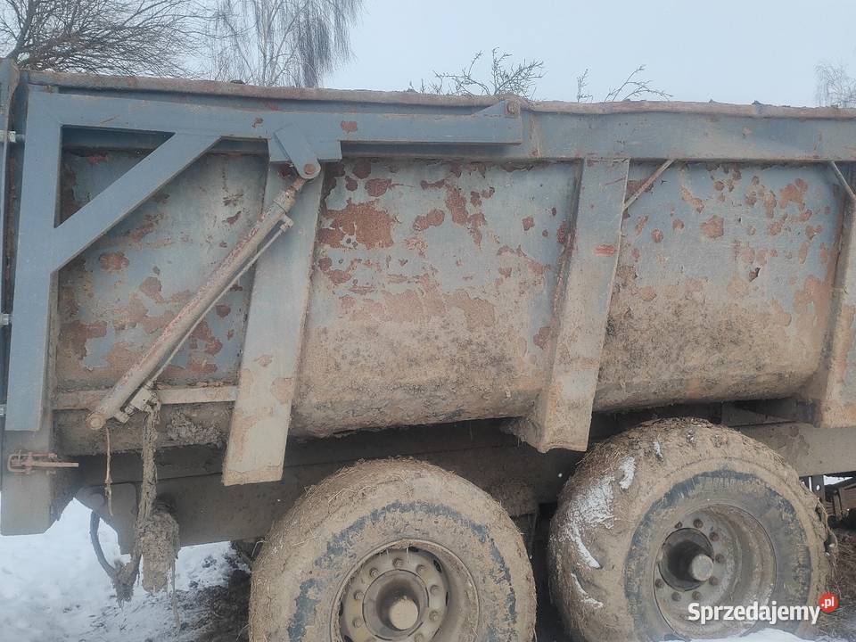 Vaia NL 140 pomorskie Pruszcz Gdański