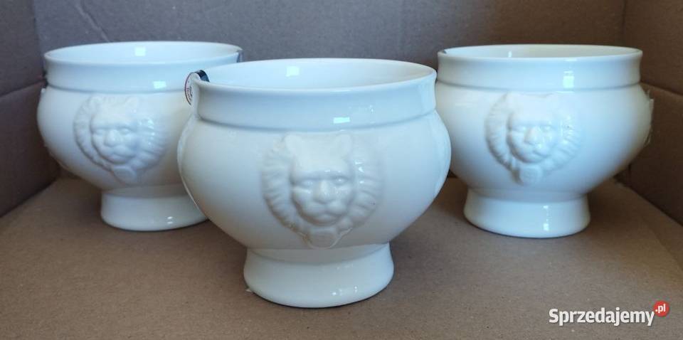 MIseczka Lionhead 05l biały śląskie Częstochowa