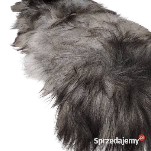Skóra Owcza Island Szara Siwa Naturalna Dywan z sprzedam
