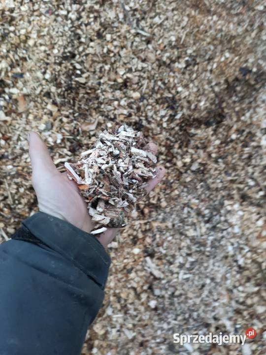 Cięcie łupanie sprzedaz drewna Usługi rebakiem Bielsk Podlaski sprzedam