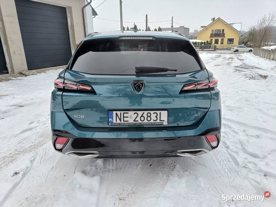 15 Salon 1 Właściciel Najbogatsza wyp Niski nieuszkodzony małopolskie Gołaczewy