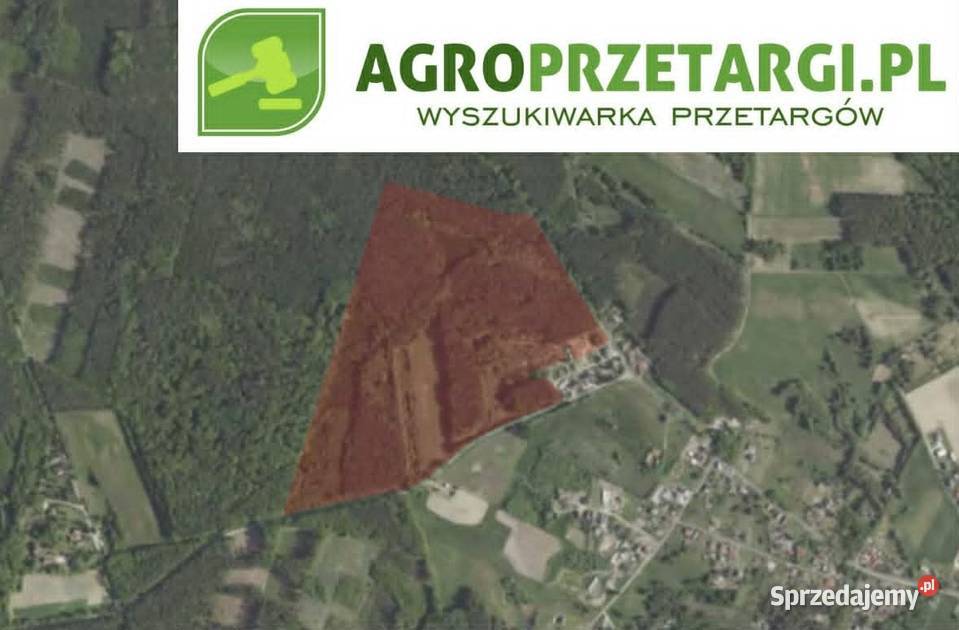 Dzierżawa 1222 ha gruntu rolnego rolna sprzedam