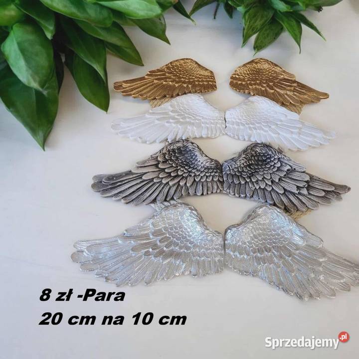 Aniołki gipsowe mega zestaw aniołów anioł z Wrocław