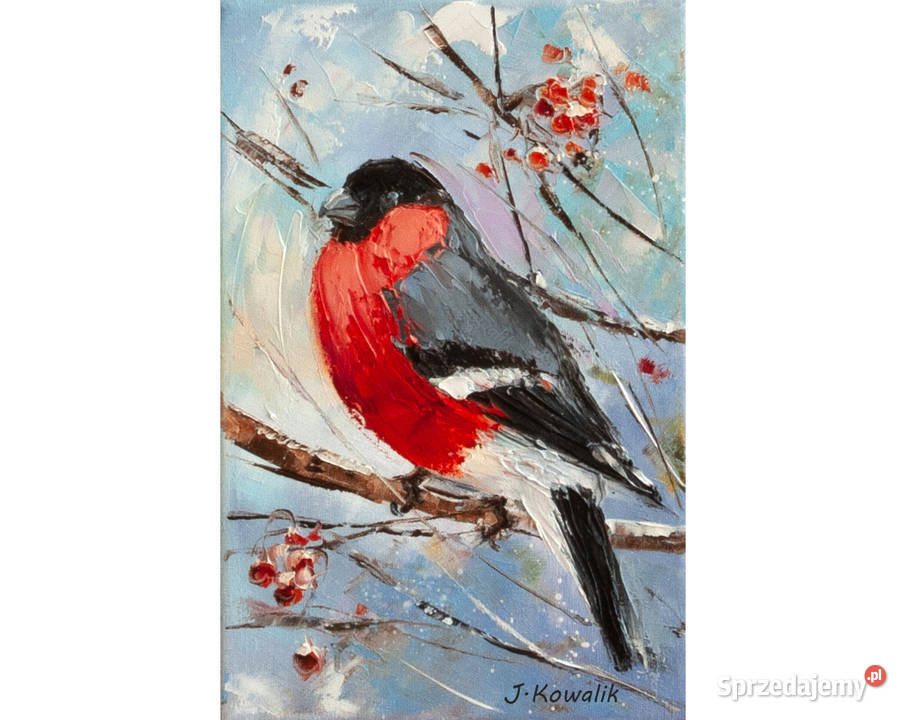 Kowalik Gil obraz olejny 20x30 ptak ptaki Malarstwo mazowieckie Warszawa