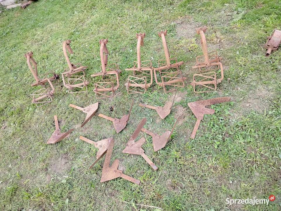 Noże wałki kółka opielacz pielnik do buraków Skarszewy
