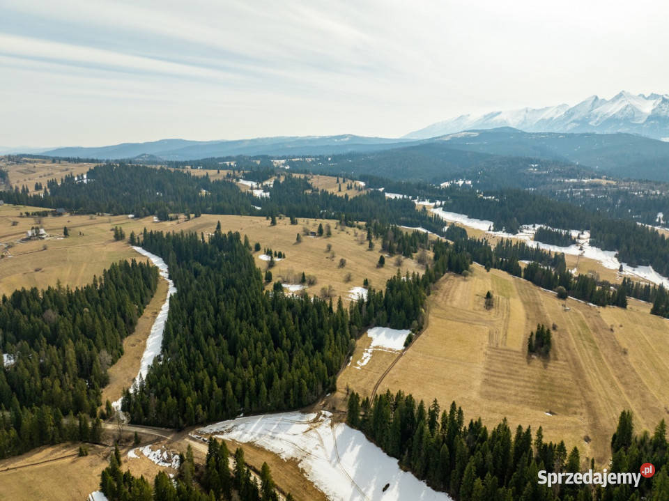 Działki rolne w Rzepiskach 3830m2 Rzepiska