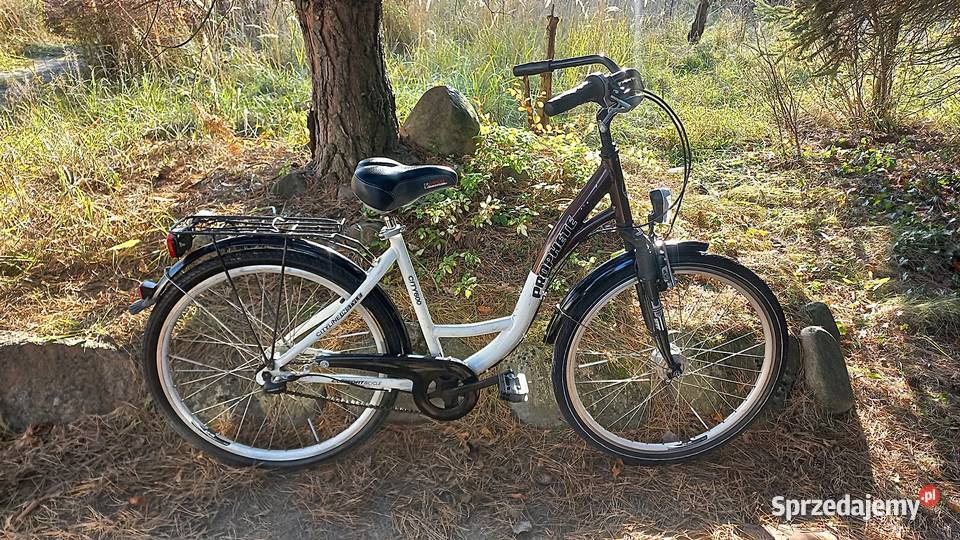 Alu Rower Miejski Damski Prophete City 600 Damka Wołów