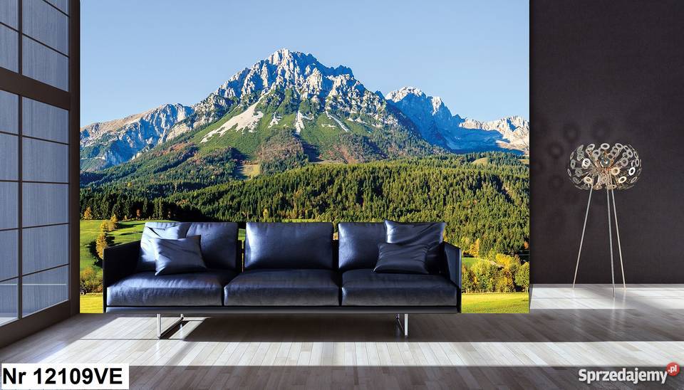 Tapeta fototapeta Góry szczyty wewnętrzne Budownictwo i akcesoria wielkopolskie Leszno