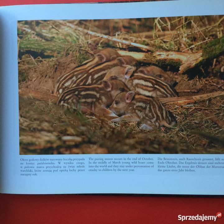 1087 Zachodniopomorskie Perły Przyrody Szczecin sprzedam