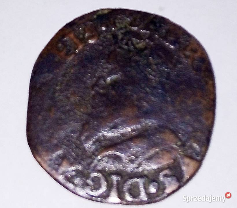 FRANCJA DOUZAIN 1574 1643 RZADKA Legionowo