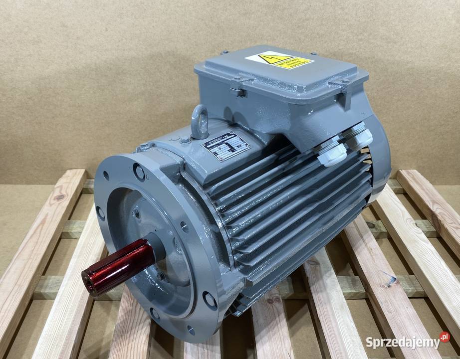 silnik elektryczny 22kW 2935obr 3fazowy Pigża sprzedam
