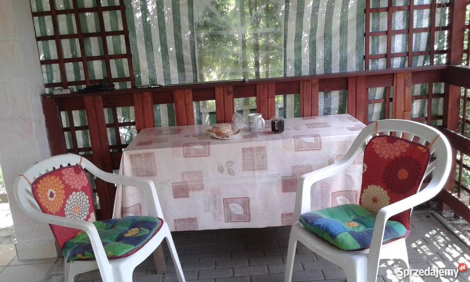 Działka ROD Strzeszyn wielkopolskie Poznań