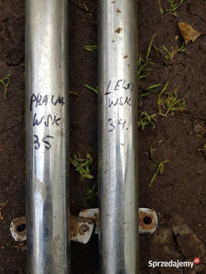 34 35Starszynowszy typWSK B1B3Goleń przód L P Barlinek