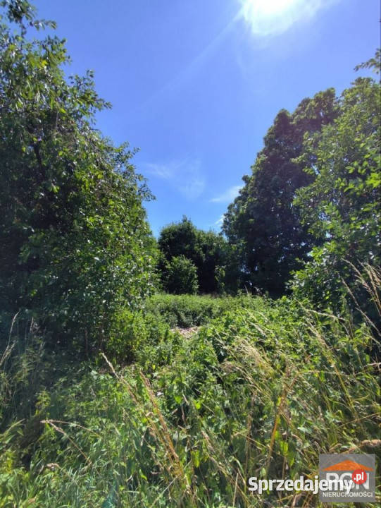 Działka na sprzedaż 3072m2 Rewal 43m sprzedam