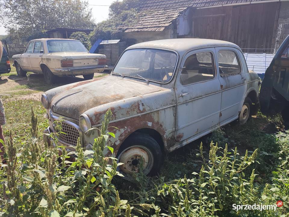 Fiat 1100 Łysa Góra sprzedam