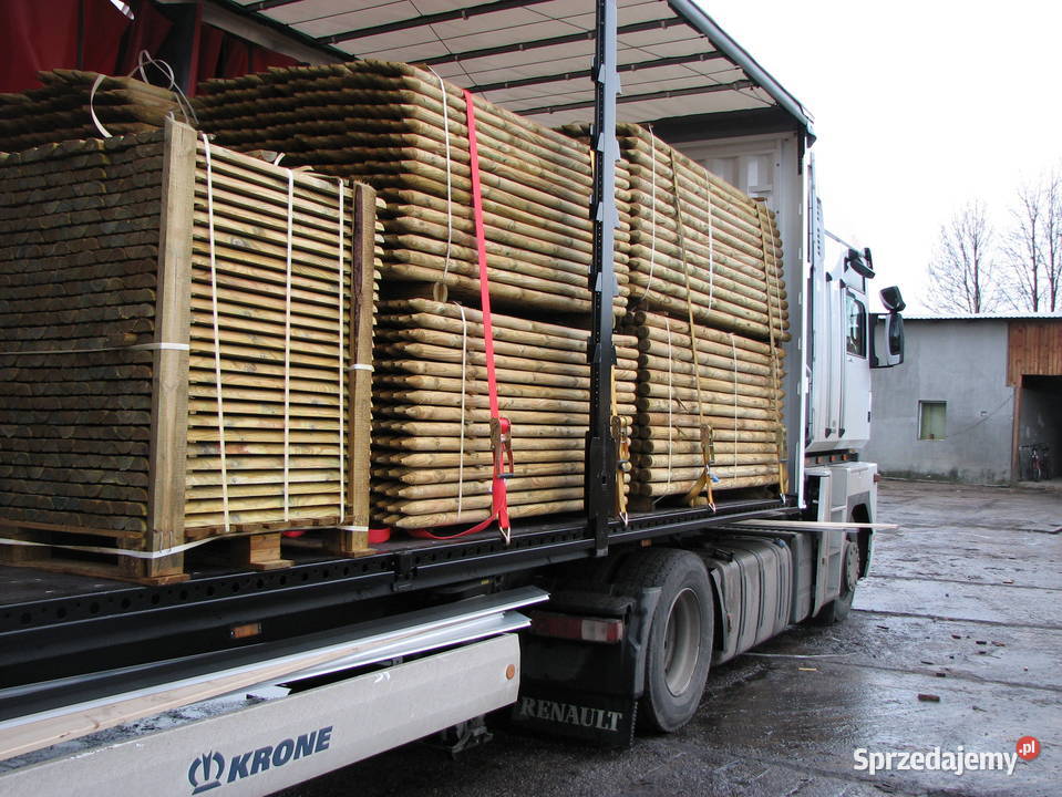 Paliki do drzew tyczki kołki wsporniki Poznań