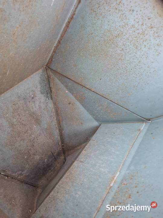 Sadzarka do ziemniaków dwurzędowa Brzeziny