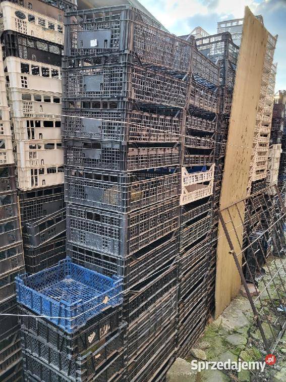 Skrzynki plastikowe pudelka Strzelin