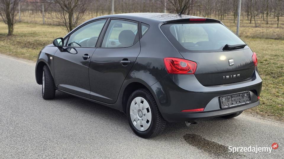 Seat Ibiza Seat Ibiza 14 benzyna idealny do gazu Wyrzysk