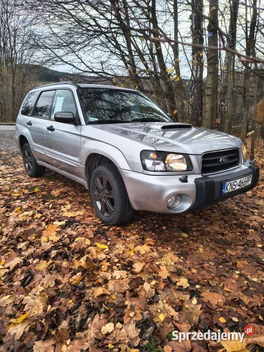 Subaru Forester Łososina Dolna