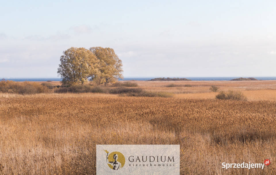 Pensjonat morzem Rewa