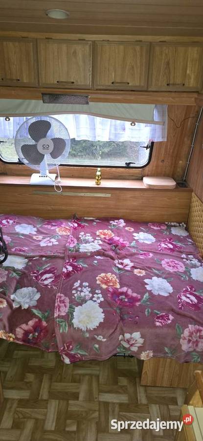 Działka ROD Tulipan Orzysz