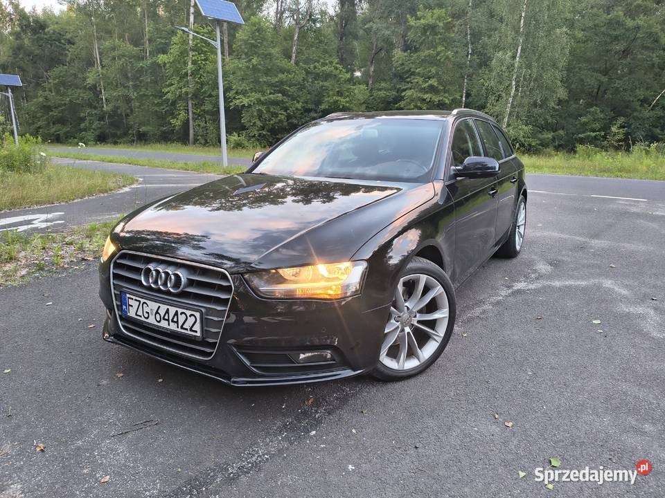 Audi A4 20 TDI 177 2015 r Doskonały stan lubuskie Żagań sprzedam