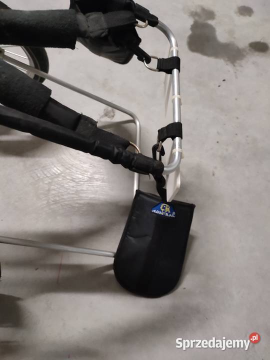 Wózek inwalidzki psa Szczawno-Zdrój