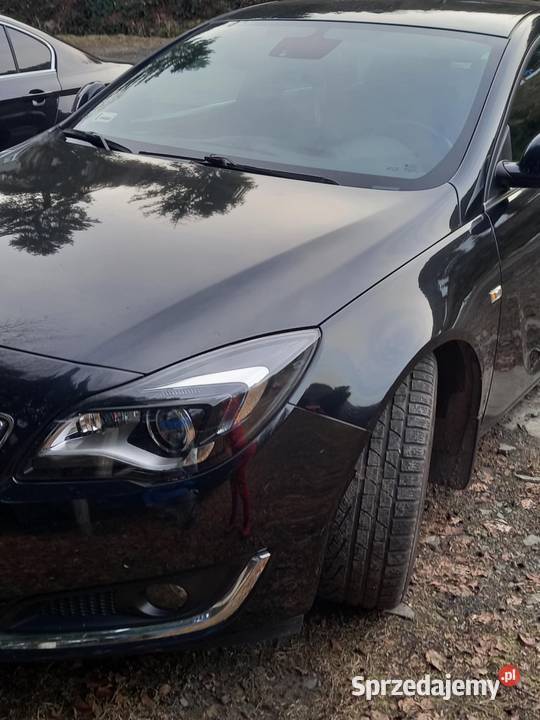 Opel Insignia 20 diesel 170 serwisowany