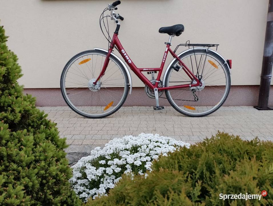 Rower damka PIĘKNA holenderka niemiecka BING