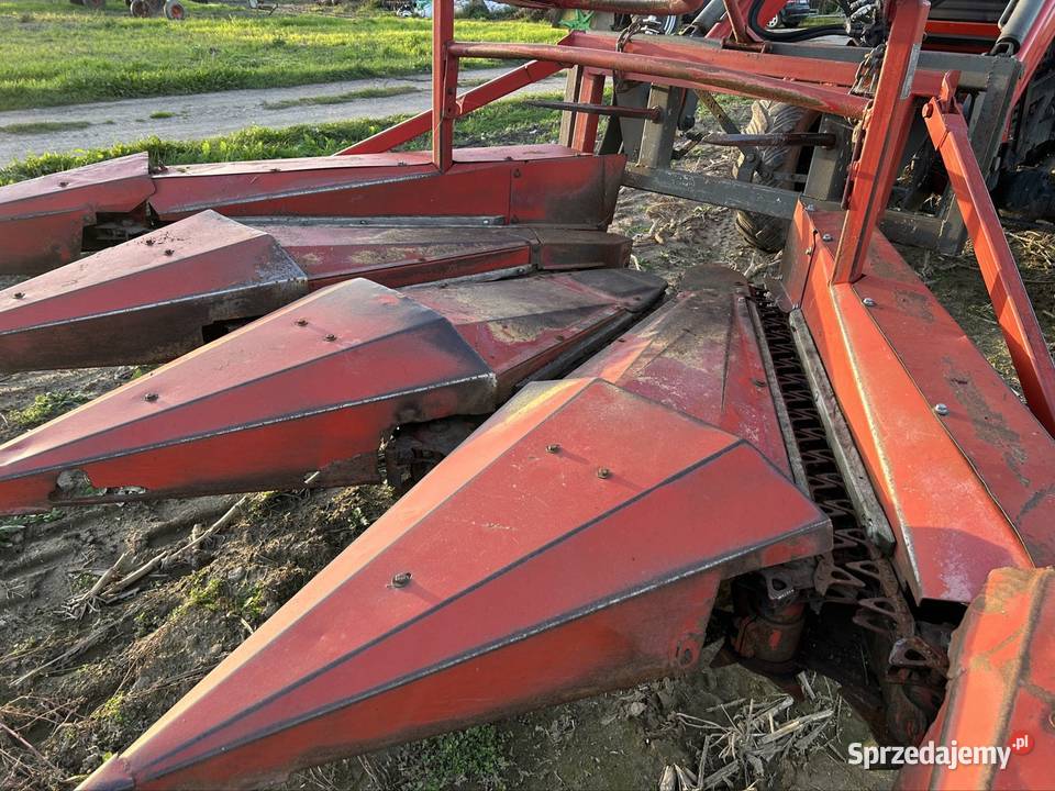 Heder przystawka 4 rzędowa do kukurydzy kujawsko-pomorskie