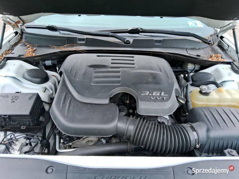 Dodge Charger SXT Plus 4x4 36 V6 2015 18900 Rybnik