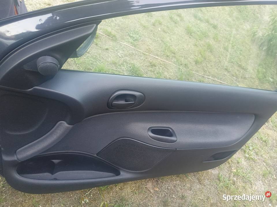 Drzwi prawe Peugeot 206 kolor grafit kod KTG 480 Kopanica