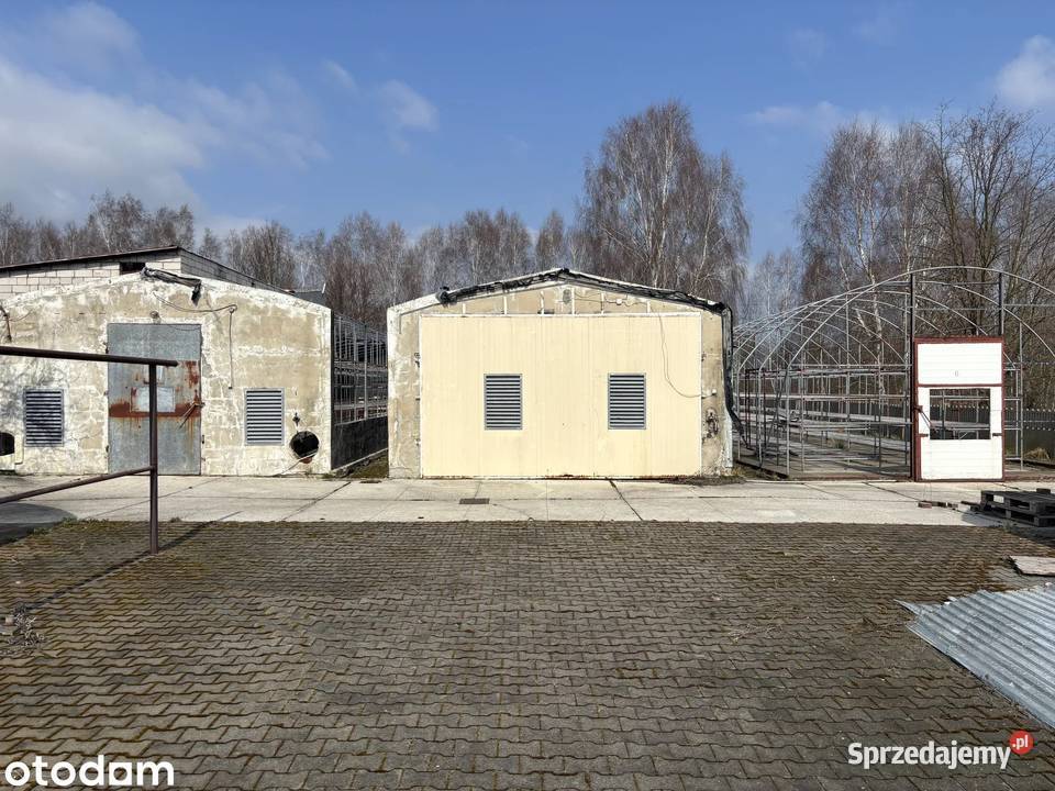 Dom 200 m z zapleczem gospodarczym i potencjałem śląskie Kłobuck