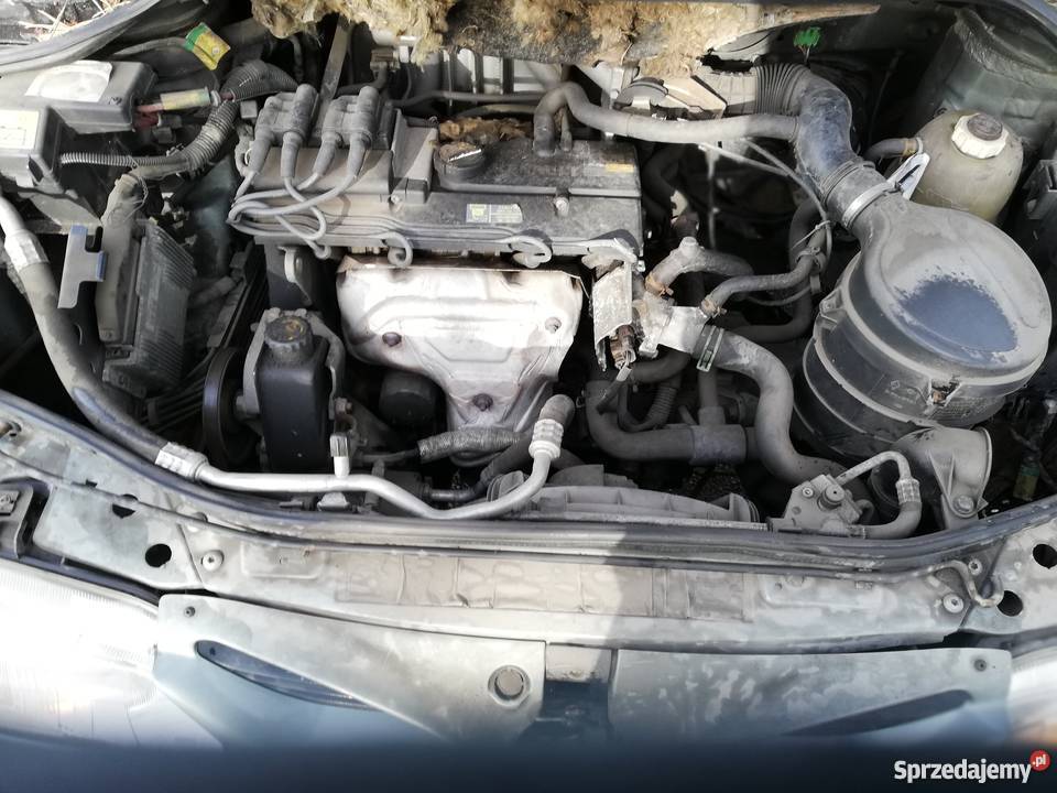 Renault Megane Scenic 16 benzyna 1998 Gniewkowo