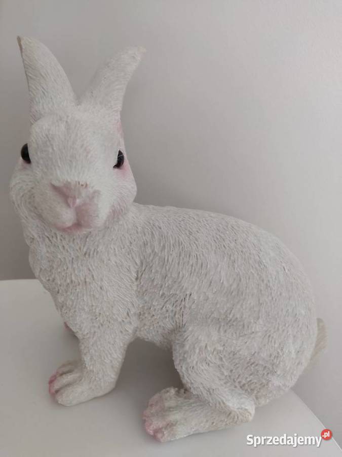 Zając wielkanocny biały biały podkarpackie Straszęcin