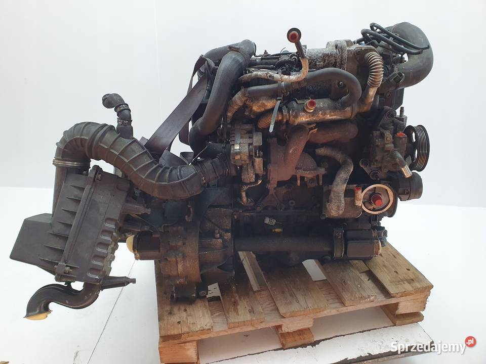 SILNIK KOMPLETNY Ford Transit Connect 18 TDCI Rudka sprzedam