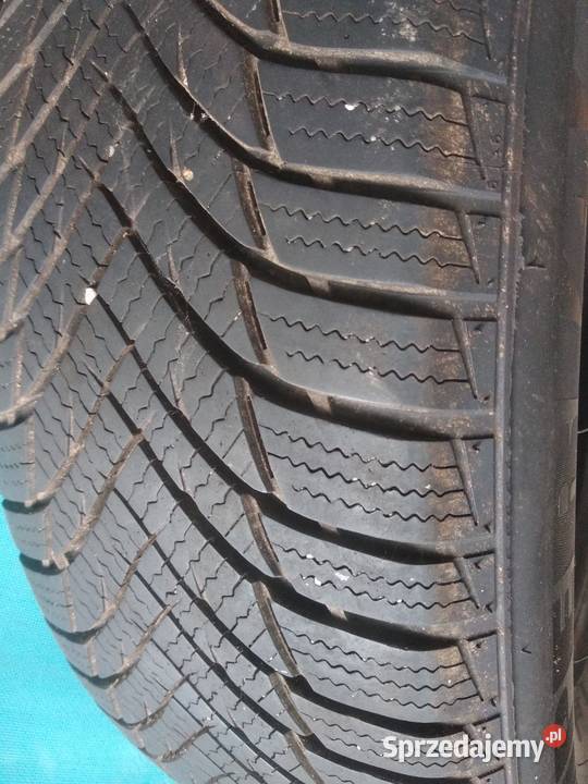 Opony wielosezonowe Imperial 19565R15 220