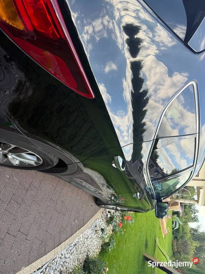 Hyundai Santa Fe III 22 2017 blue Premium 4x4 Konin