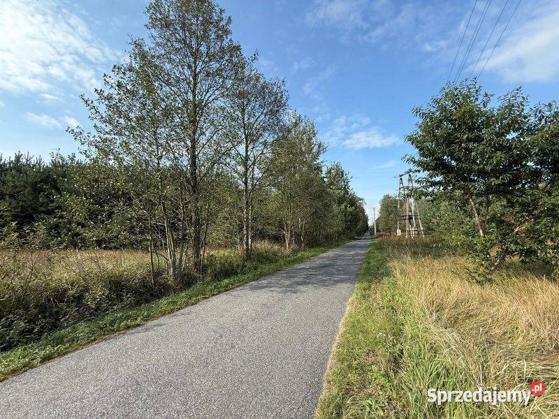 Piękna działka z warunkami zabudowy idealna pod Szczawin Kościelny
