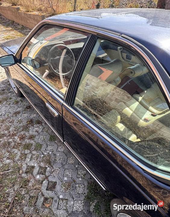 BMW e24 635 Wrocław