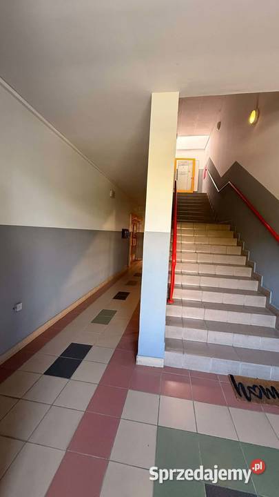 NA SPRZEDAŻ SEGMENT PASAŻU FRYDERYKA KONIN 1183m2 wielkopolskie