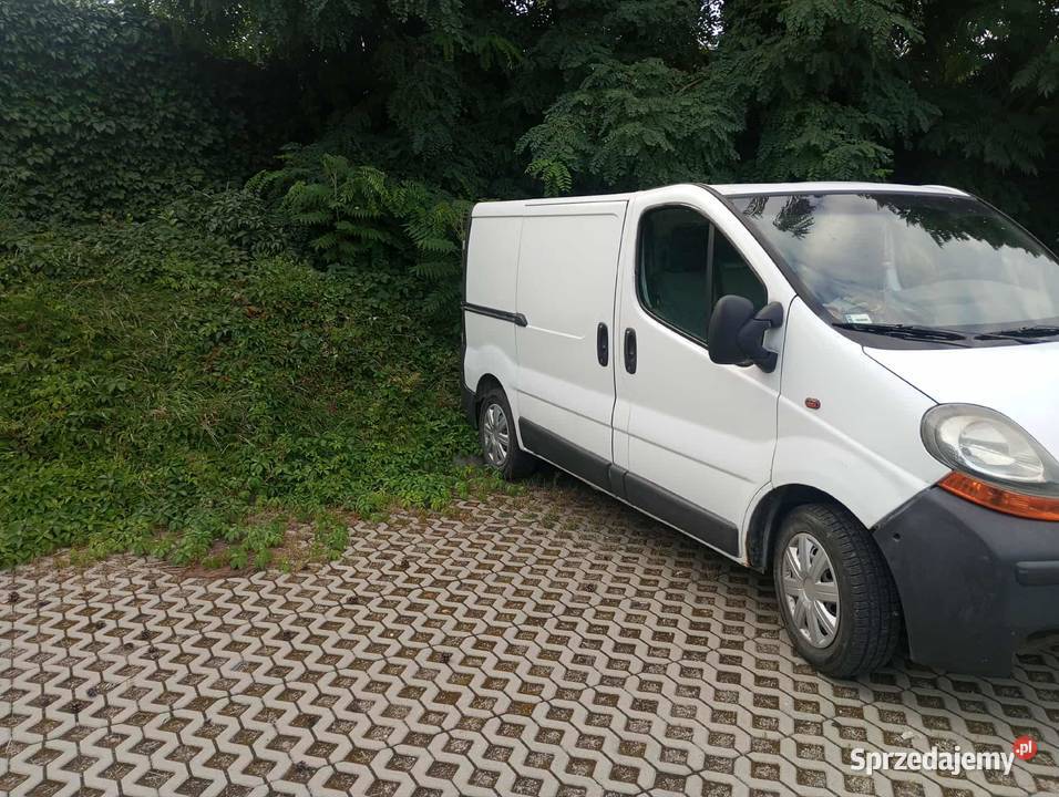 Renault trafic 19 dCi 2002 r podkarpackie Trzebownisko
