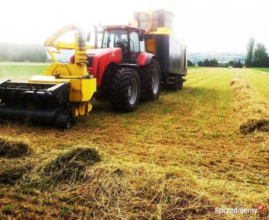 AgroBiogazownia kontenerowa o mocy 1 MW Pozostałe Katowice